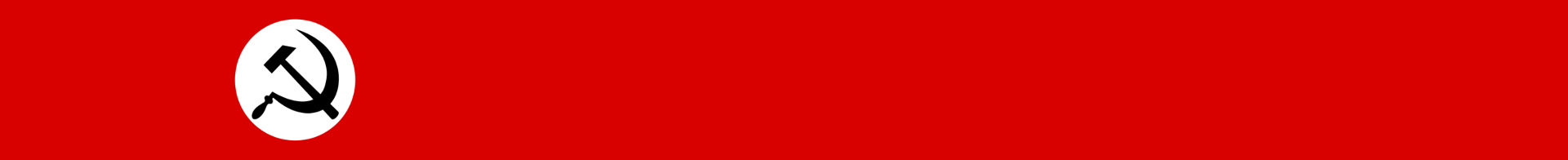 National Bolshevik Party